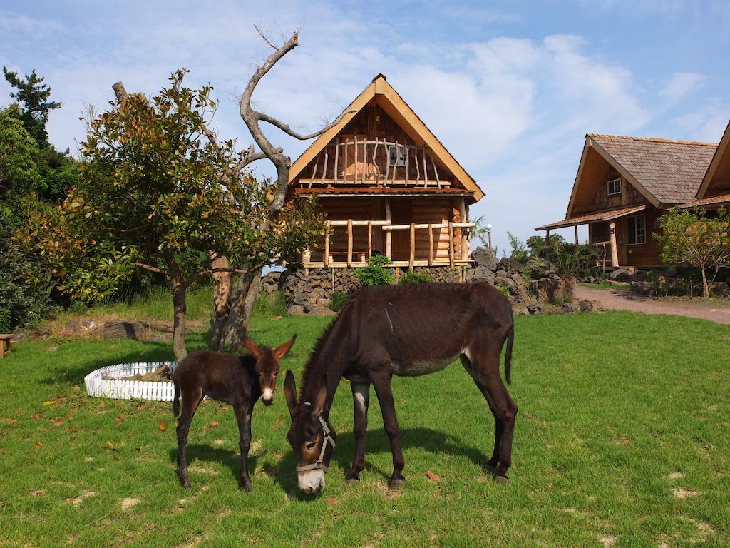 Apartmán Tree House Sogüpcho Exteriér fotografie